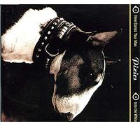 Pixies, The - Here Comes Your Man