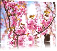 Pixxprint belli i Fiori di ciliegio Photo sur Toile |Taille: 100x70 cm| Peinture Murale | Art Print | prêt Couvert