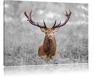 Pixxprint Big Cerfs dans Le domaine Art Toile 100x70cm Murale XXL