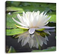 Pixxprint Blanc Fleur de Lotus dans l'eau 40x40 cm Art Toile décoration