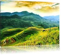 Pixxprint Champs de Riz au Vietnam Photo sur Toile | Taille: 120x80 cm | Peinture Murale | Art Print | prêt Couvert