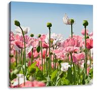 Pixxprint Coquelicots Fleur Meadow 70x70 cm Art Toile décoration