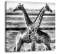 Pixxprint Couple Girafe 60x60 cm Art Toile décoration