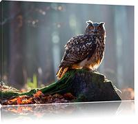 Pixxprint Die Eule Auf dem Baumstamm ALS Leinwandbild/Größe: 100x70 cm/Wandbild/Kunstdruck/fertig bespannt