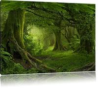 Pixxprint Jungle dans la forêt Tropicale, Format: 120x80 énorme sur Toile