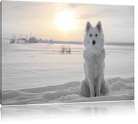 Pixxprint Loup Blanc dans la Neige Art Toile 60x40cm Murale XXL