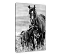 Pixxprint Mère cheval avec poulain sur prairie, monochrome comme image sur toile/dimensions : 40 x 60 cm/décoration murale/impression d'art/prêt à l'emploi