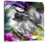 Pixxprint Tableau de Belles Plumes colorées 60x60 cm Art Toile décoration