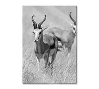 Pixxprint Tableau mural en verre véritable - Animaux en savane - Cerfs - Afrique - 40 x 60 cm - Avec suspension et entretoises