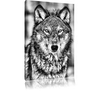 Pixxprint Wachsamer Wolf ALS Leinwandbild/Größe: 100x70 cm/Wandbild/Kunstdruck/fertig bespannt