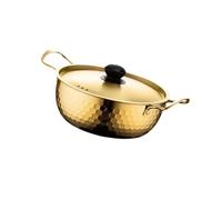 PIXZCSA Marmite à ramen domestique avec couvercle et poignée, conçue pour la cuisine de Pour tous les jours. Savourez des nouilles et des soupes, Or, 22 cm