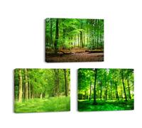 Piy Painting 3 Pièces Impression sur Toile Jungle Verte, Nature Tableau sur toile Encadré, Image sur toile de Arbre Forêt Tableau Decoration Murale pour chambre, salle de bain, salle d’étude 40x30cm