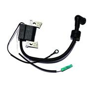 Pizgear Bobine d'allumage avec Moteur de Bateau CDI, for Yamaha, F4L F4B F4S F5A F6L F6S F6C 4 Temps 6BX-85571-00 Interrupteur d'allumage Marin