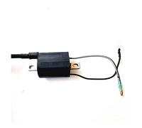 Pizgear Bobine d'allumage B for Moteur de Bateau T40-05090102, for Parsun, HDX 2 Temps 40 CV T40 T40BM T40BW T40G T30BM 2 Temps Type G Vert T40-05090102 Interrupteur d'allumage Marin