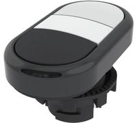 Pizzato Elettrica E21PDRL10221 E21PDRL10221 Bouton-poussoir à double touche actionneur plat blanc, noir 1 pc(s)