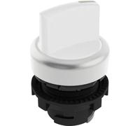 Pizzato Elettrica E21SL13ACH29AB E21SL13ACH29AB Bouton sélecteur blanc 2 x 45 ° 1 pc(s)