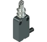 Pizzato Elettrica NF B110FB-DN2 Interrupteur de fin de course 250 V/AC 4 A poussoir à galet à rappel IP67 1 pc(s)