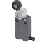 Pizzato Elettrica NF B112KG-DN2 Interrupteur de fin de course 250 V/AC 4 A levier pivotant à galet à rappel IP67 1 pc(s)
