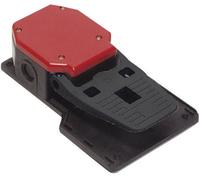Pizzato Elettrica PA 20101-M2 Interrupteur à pédale 250 V/AC 6 A 1 pédale 1 NO (T), 1 NF (R) IP65 1 pc(s)
