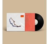 PJ Harvey I Inside the Old Year Dying (Vinyl) 12" Album