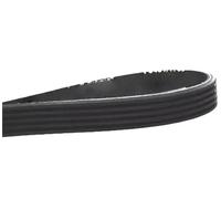 PJ Model RibbeDrive Courroie pour Cressors & Treal 1 pièce 394 mm x 9 5710 nervures Courroie de transmission Performance Haute Cali Idéal pour Remplacement