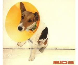 Pjds - Away God & Far from [Import]
