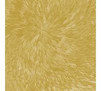 Pjev / Kit Downes / Hayden Chishom – Medna Roso – Vinyle – Édition Or