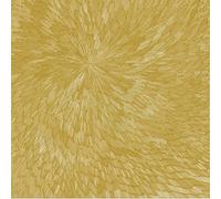 Pjev , Kit Downes, Hyden Chisholm - Medna Rouge