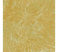 Medna Roso / Pjev - Kit Downes - Hayden Chishom