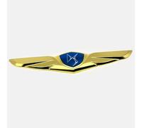 PjjxQf Voiture 3D Emblèmes pour DS5 DS6 3 DS 5LS-Modelle,Autocollant Décalcomanies D'insigne Capot Décoratif Badge Logo Insigne Emblème Tronc Logo,B-Normal