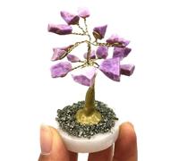 PKNVKZIDK Stone 1PC Phospesiderite Tree Gemstone Crystal Lucky Rough Quartz Crystals