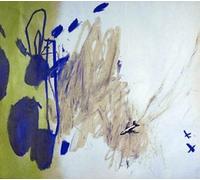 Places, the - The Autopilot Knows You Best [Import]