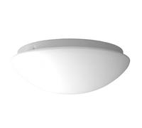 Plafonnier à LED plafonnier Bol Ø 25 cm, nurglas Applique Verre Opale Mat, Belle LED à intensité variable Vestibule avec fermeture à baïonnette