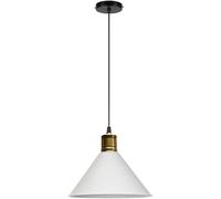 Plafonnier à vis E27 à tête Unique, Abat-Jour en métal coloré, Suspension Simple et créative, idéal pour Un Bar, Un Centre Commercial ou Un Magasin de vêtements.