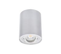 PLAFONNIER ALUMINIUM BORD DLP-50-AL NT ROND 22550