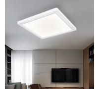 Plafonnier Ampoule Lumière de Jour Plafonnier Panneau LED Couloir Blanc L 29,1cm