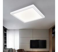 Plafonnier Ampoule Lumière de Jour Plafonnier Panneau LED Couloir Blanc L 29,1cm