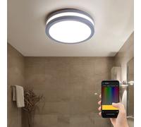 Applique murale d'extérieur lampe d'extérieur applique murale plafonnier plafonnier maison mur, commande vocale dimmable minuterie IP44, acier argent, 1x LED 14W 1440Lm 3000K, DxH 26x9.5cm