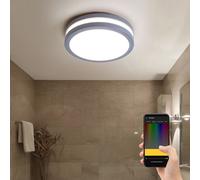 Applique murale d'extérieur lampe d'extérieur applique murale plafonnier plafonnier maison mur, commande vocale dimmable minuterie IP44, acier argent, 1x LED 14W 1440Lm 3000K, DxH 26x9.5cm