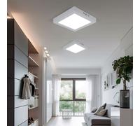 Plafonnier Aufbaupanel LED Ampoule Lumière de Jour Blanc Couloir 2er Set