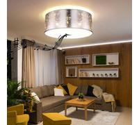 Plafonnier Avec Bluetooth 40 CM Salon Lampe de Chambre Argent