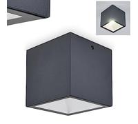 Plafonnier d'extérieur à LED Spidern, plafonnier en métal/verre anthracite/blanc, luminaire pour terrasse/balcon/entrée, LED 7 watts, 750 lumens, 3000 K, IP65
