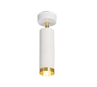 Plafonnier en métal, Spot orientable et réglable, éclairage d'intérieur Lumineux pour Couloir, véranda, plafonnier Nordique Moderne GU10 câblé