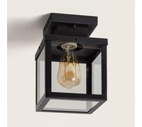 Plafonnier Extérieur Acier Inoxydable Theia Noir