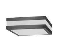 PLAFONNIER EXTÉRIEUR - COULEUR ANTHRACITE RABALUX MODERNE [EEK: G]