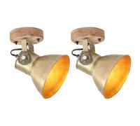 Vidaxl Lampe Murale Industrielle/De Plafond 2 Pcs Laiton 20x25 Cm E27
