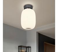Plafonnier Lampe de Chambre Plafonnier Nickel LED Écran de Verre Graphite