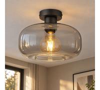 Plafonnier LED Lampe de salon Lampe de salle à manger, rétro métal noir verre fumé, 4W 320lm blanc chaud, DxH 28x20,5cm