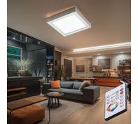 Plafonnier LED REMOTE CONTROL lampe lumière du jour lampe de salon argent DIMMABLE