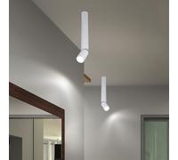 Plafonnier Lampe de Salon Spot Réglable LED Couloir 2x